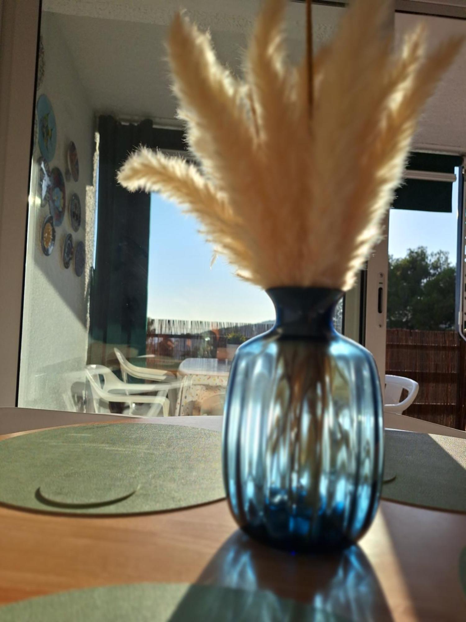 La Calma De Tossa Appartement Gerona Buitenkant foto